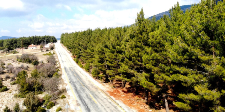 Bu yıl kar yüzü görmedi