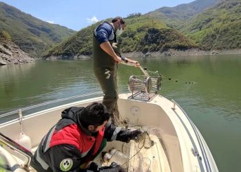 Kriterlere uymayanlara para cezası uygulandı