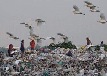 BM: “Dünyada her gün 1 milyar öğün israf ediliyor”