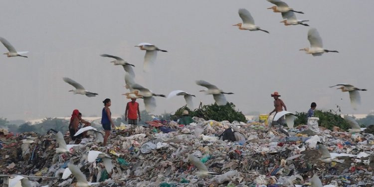 BM: “Dünyada her gün 1 milyar öğün israf ediliyor”