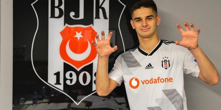 Ajdin Hasic: “Beşiktaş’a geri dönerek kendimi kanıtlamak istiyorum”