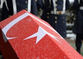 Van’da yıldırım çarpması sonucu 1 korucu şehit oldu