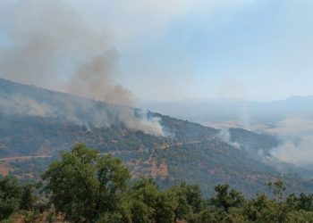 Manisa’daki yangında ekip sayısı 71’e çıktı