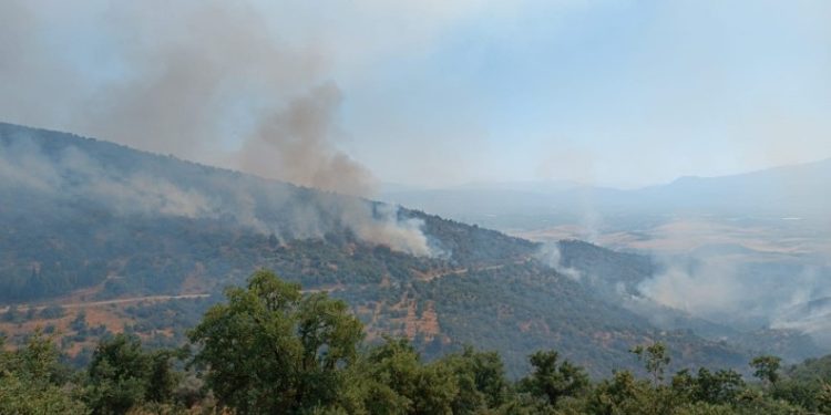 Manisa’daki yangında ekip sayısı 71’e çıktı