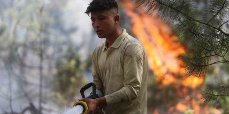 Orhaneli’ndeki orman yangını kontrol altına alındı