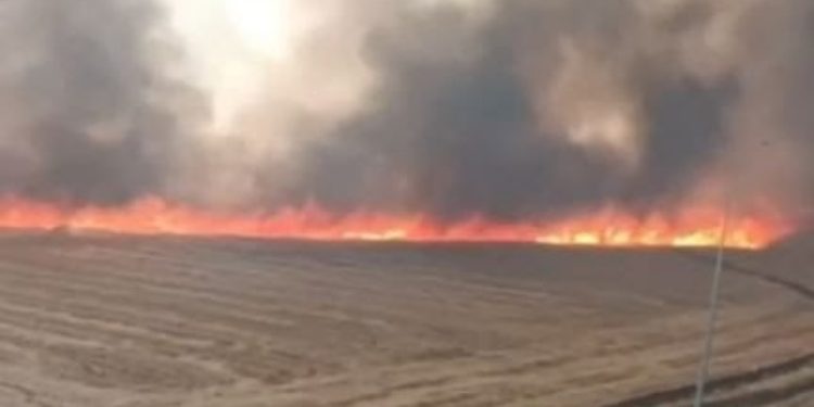 Şanlıurfa’da 100 dönüm arazi ve 200 ton saman kül oldu