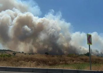 Bursa’da kampüse sıçrayan yangın kontrol altına alındı