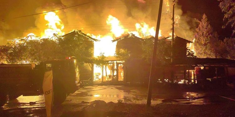 Antalya Olympos’ta Kadir’in Ağaç Evleri tamamen yandı