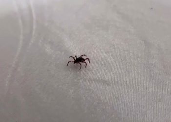 Yozgat’ta keneden yılın ilk ölümü gerçekleşti