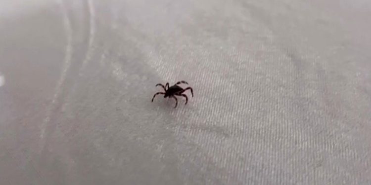 Yozgat’ta keneden yılın ilk ölümü gerçekleşti