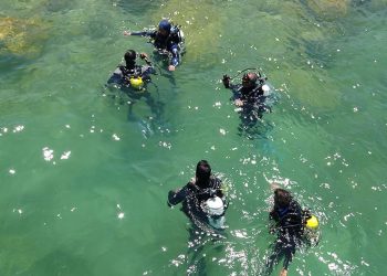 Van Gölü’nde dalış sezonu açıldı