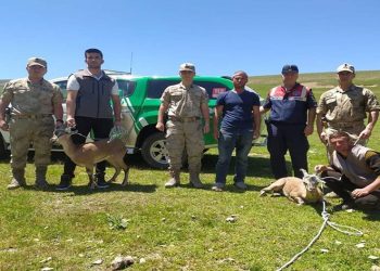 Yaralı yaban keçileri koruma altına alındı