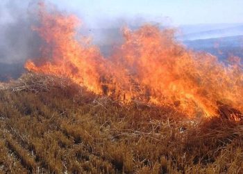 Örtü ve orman yangınlarına dikkat