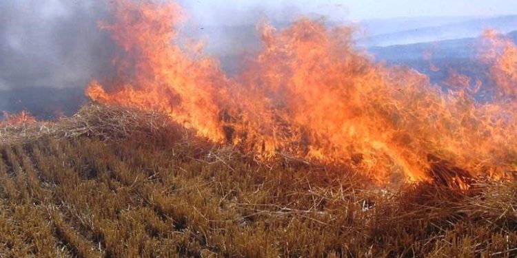 Örtü ve orman yangınlarına dikkat