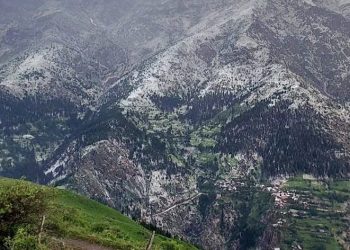 Artvin’de dolu yağışı