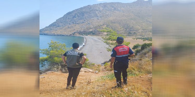 Mersin’de ormanlık alanlar denetleniyor