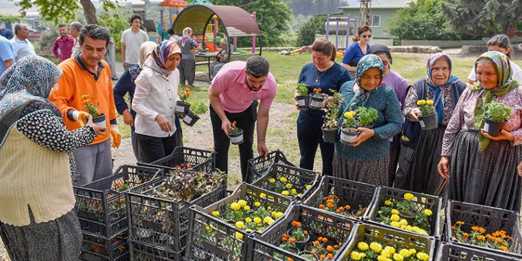 Sivrisinek ve haşere ile bitkisel mücadele