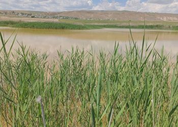 Kuraklık nedeniyle kuruyan göl doldu