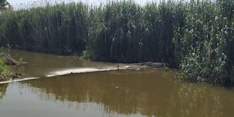 Didim’de hayalet ağ operasyonu