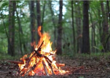 Bilecik’te ormanlık alanlarda piknik yapmak yasaklandı
