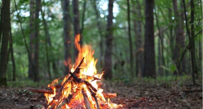 Bilecik’te ormanlık alanlarda piknik yapmak yasaklandı
