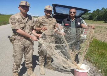 Van’da kaçak avcılara para cezası