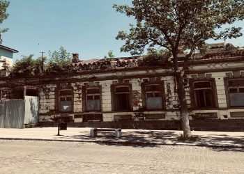 Tarihi binanın üzerinde ağaç yetişti