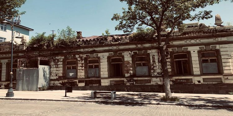 Tarihi binanın üzerinde ağaç yetişti