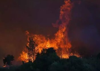 İzmir’deki orman yangınında evler tahliye ediliyor