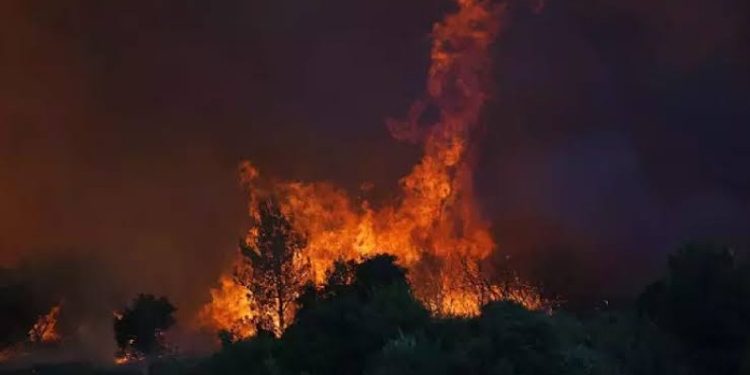 İzmir’deki orman yangınında evler tahliye ediliyor