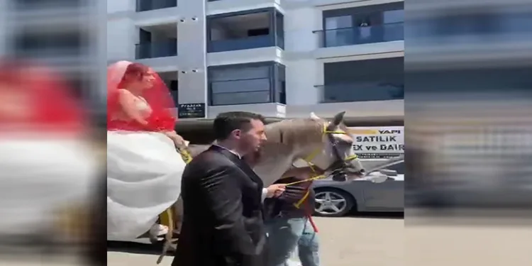 İstanbul’da at üstünde gelin alma geleneği