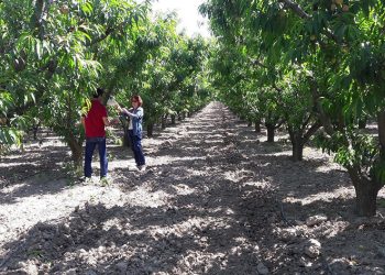 Üreticiler uyarıldı: “Siyah torbalarda imha edin”