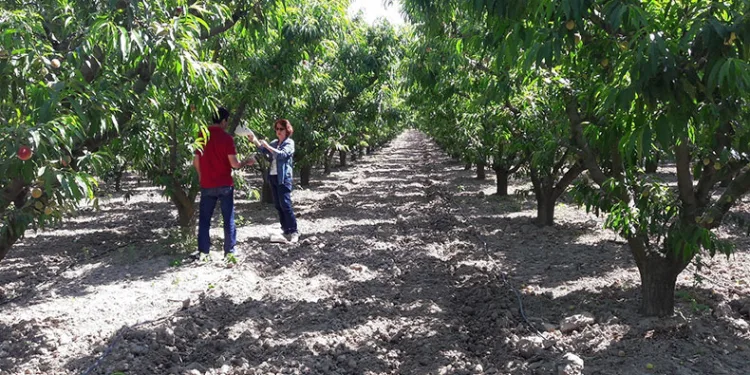 Üreticiler uyarıldı: “Siyah torbalarda imha edin”