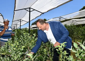 İznik tarımı için önemli adım