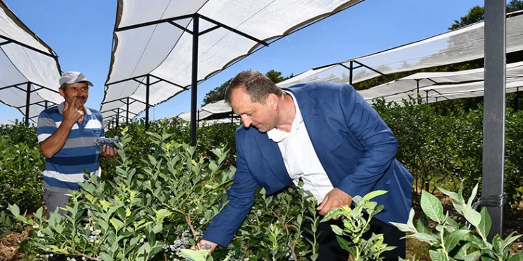 İznik tarımı için önemli adım