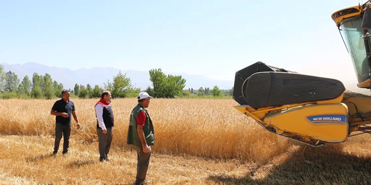 Biçerdöverler takip altında