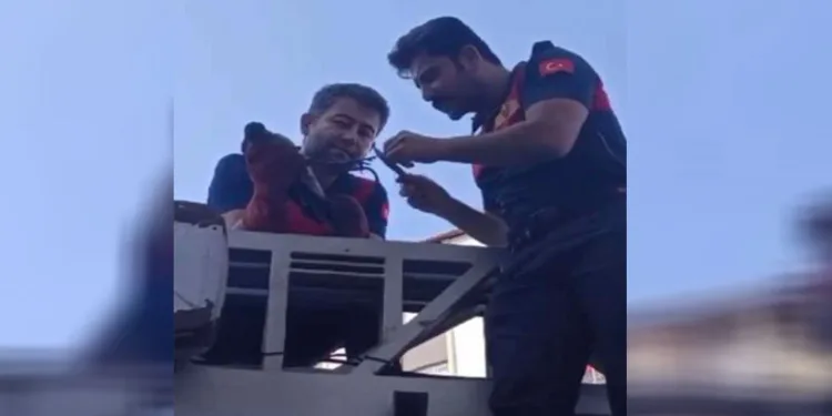 Ağaçta mahsur kalan karganın imdadına itfaiye yetişti