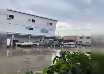 Adana’da şiddetli yağmur etkili oldu