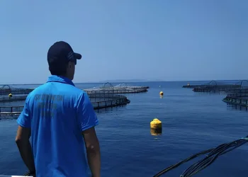 Söke’de balık çiftlikleri denetlendi