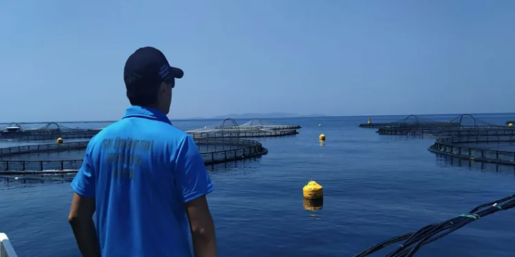 Söke’de balık çiftlikleri denetlendi