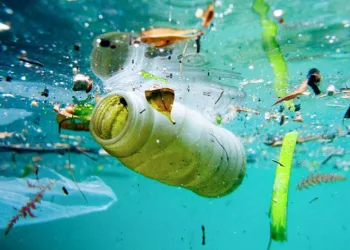 Uzmanı uyardı: Deniz ürünleriyle vücuda giriyor