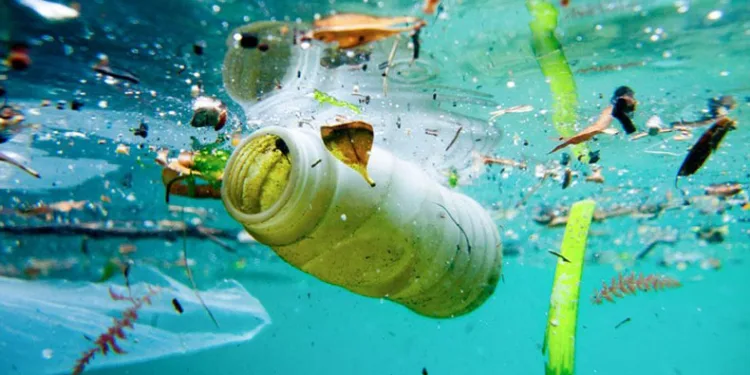 Uzmanı uyardı: Deniz ürünleriyle vücuda giriyor