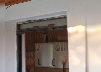 Eve giren yılan korkuttu