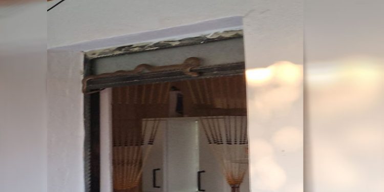 Eve giren yılan korkuttu