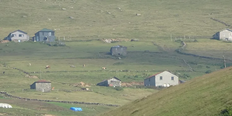 Hayvanları otlatmak için değil, tatil için geliyorlar