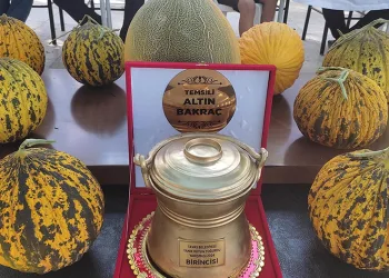 Yoğurt ve kavunun en iyileri Tavas’ta belirlendi