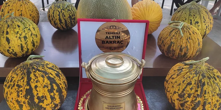 Yoğurt ve kavunun en iyileri Tavas’ta belirlendi