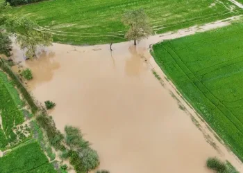 Bafra Ovası’nda tarım arazileri sular altında
