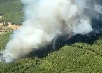 Muğla’da eş zamanlı orman yangını