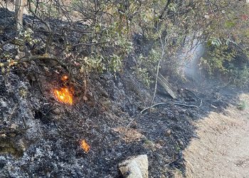 Buldan’da çıkan yangın kısa sürede söndürüldü